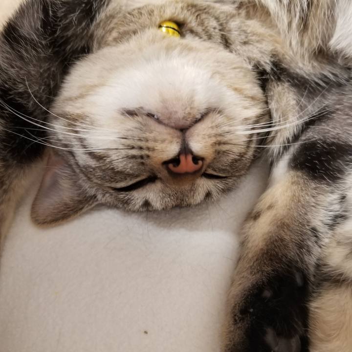 D3c2a68e 2f0a 41b0 af2a 2b234095d887 1677667891302