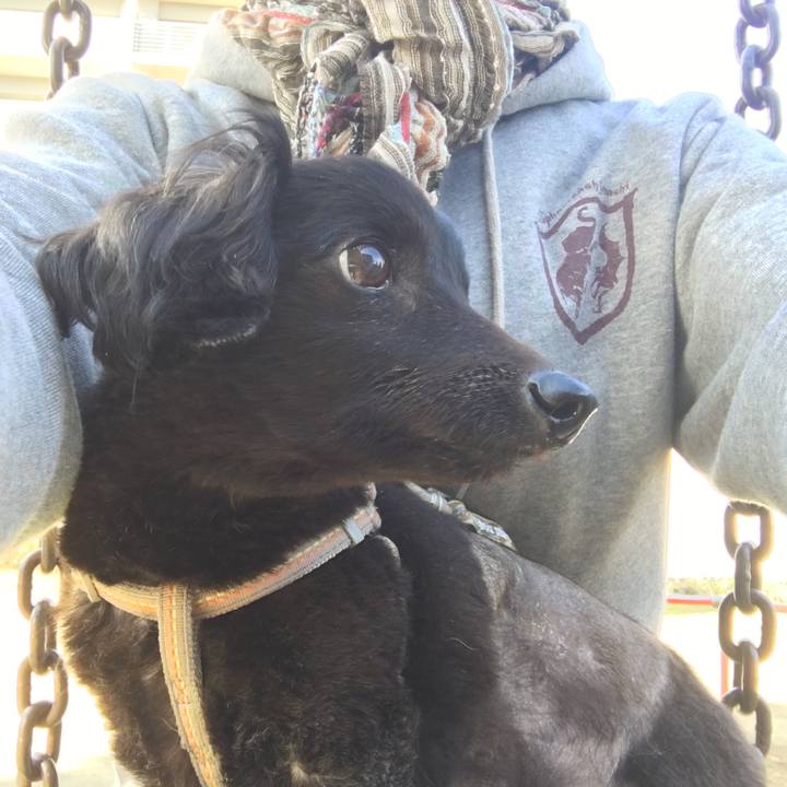 D3c2aed6 e6e8 4a85 a6ec d4ec3c30e4c5 1542667741687