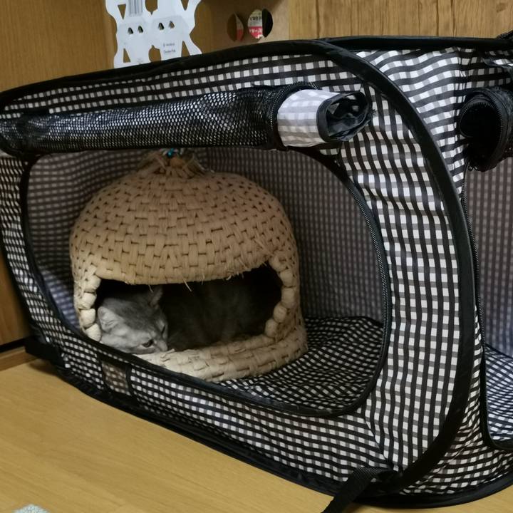 D3c2d674 99a8 41b0 9c8b c1fba1da6007 1647528742398