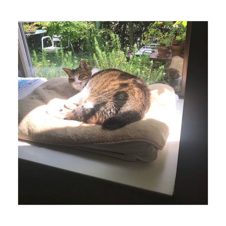 D3c2e69e 927e 48e9 b75a 3405a9649862 1651466287177