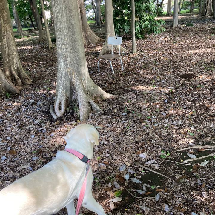 D3c31734 bc3e 4615 89f7 2ef488d85e51 1753571697111