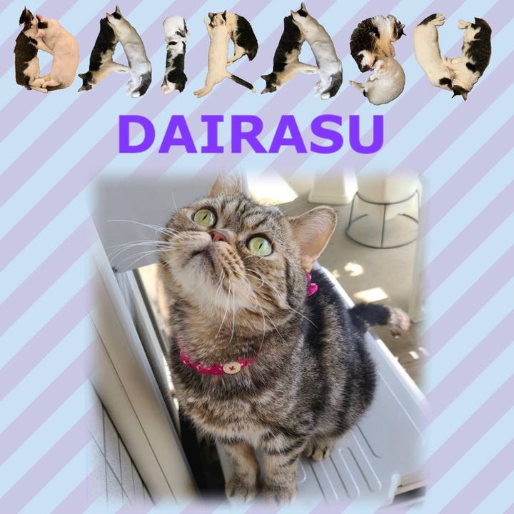 D3c31d49 3f24 4a7a 828a ff27544fac41 1667575756647