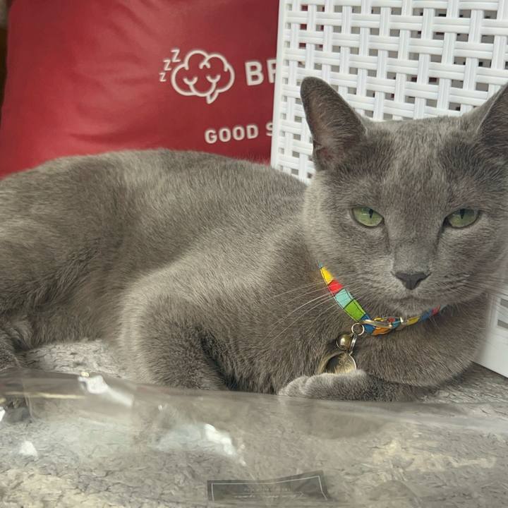 D3c320cd cef0 4973 a88b 15d896fbf14d 1729061978001