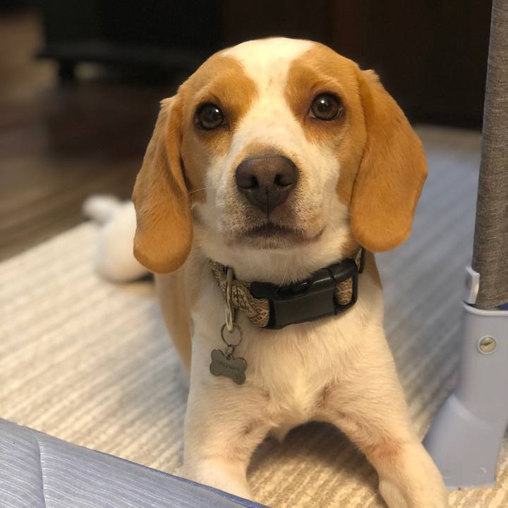 D3c32488 60a3 4452 a960 e26ae366470e 1603236845153