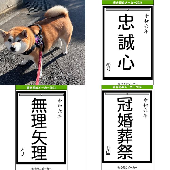 D3c3398a 7791 4d85 83a1 67e1802e540b 1704209429883