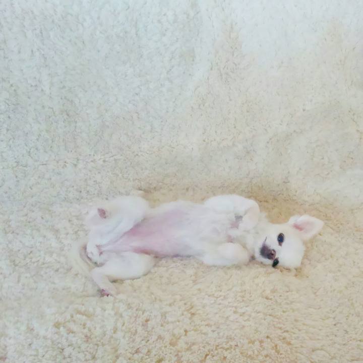 D3c37b90 89e4 4dfe 82b6 5be4fa3e32b7 1554896612271