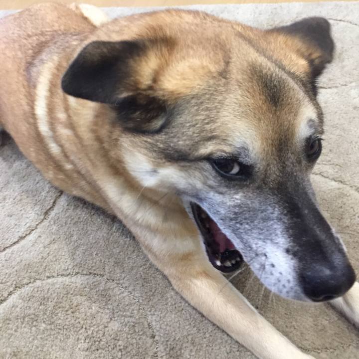 D3c37e01 0efe 4802 a9dc 23e6d963ff7b 1520334849834