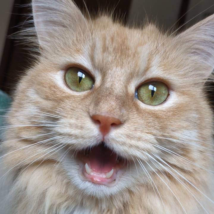 D3c396d1 22cf 4b0e 8519 b132502449a0 1753340317338