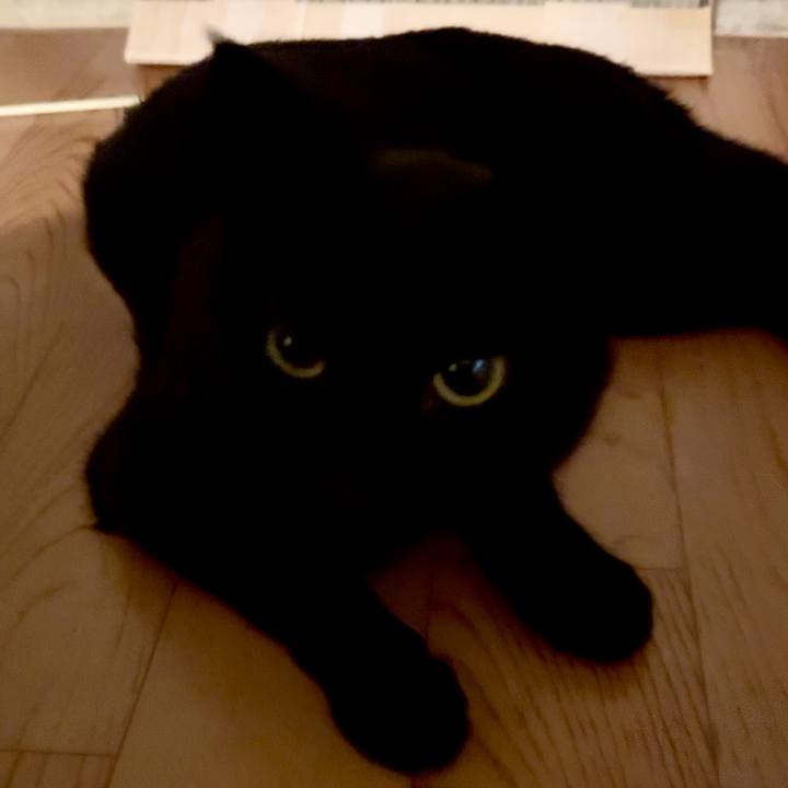 D3c3b680 513c 41e7 bccc 755c54b3b55e 1755389925012