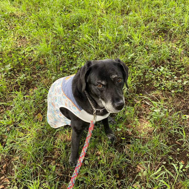 D3c3f7ea 4345 4591 afd4 d8e6268bda17 1630978773212