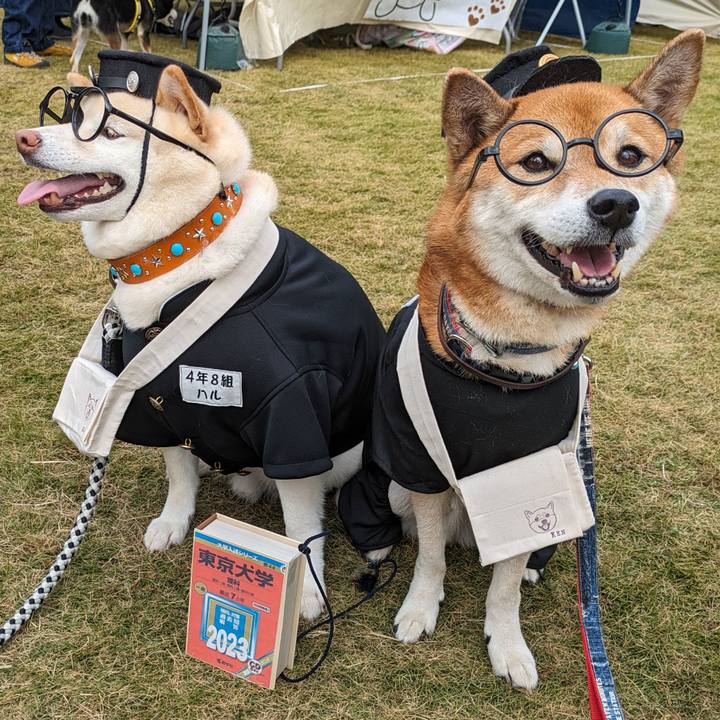 D3c40dfd 1e0c 4bcb ace3 00db7441a09d 1699580299880