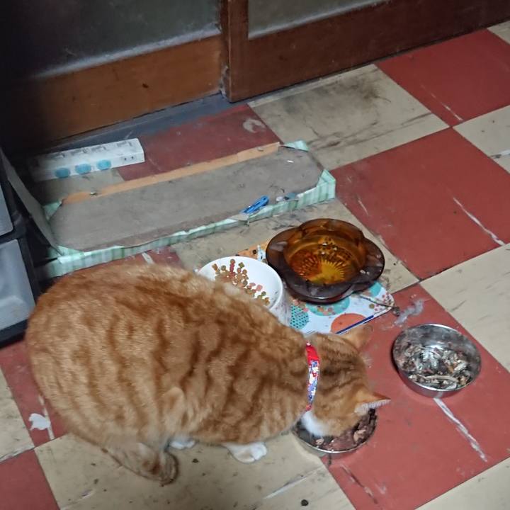 D3c456d8 407d 4a51 ab05 79765bda6187 1577390264412