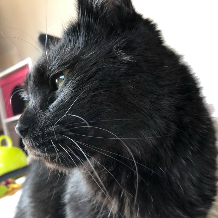 D3c4648e 9e9f 4641 8927 7ff45d0205ff 1595637291159