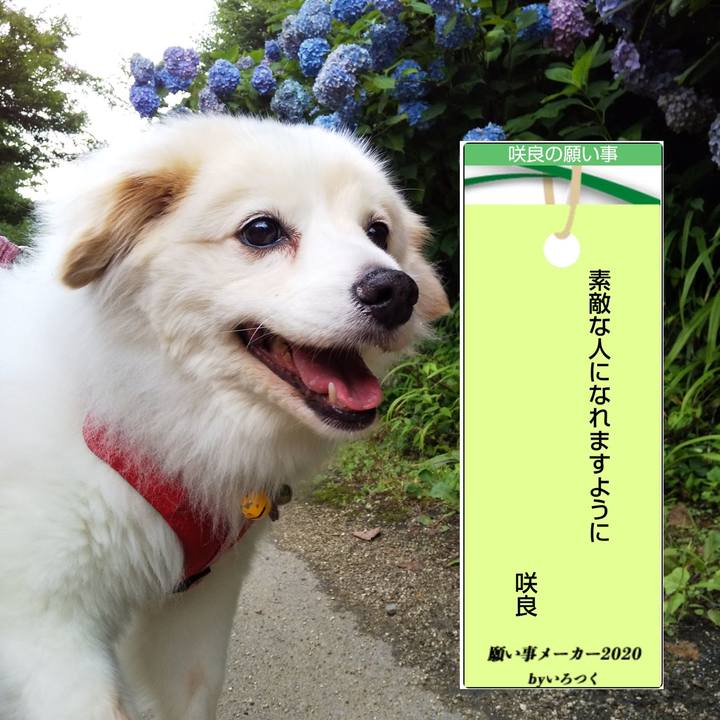 D3c486da 8dd1 4f6d 9c47 902679c1e470 1594120480408