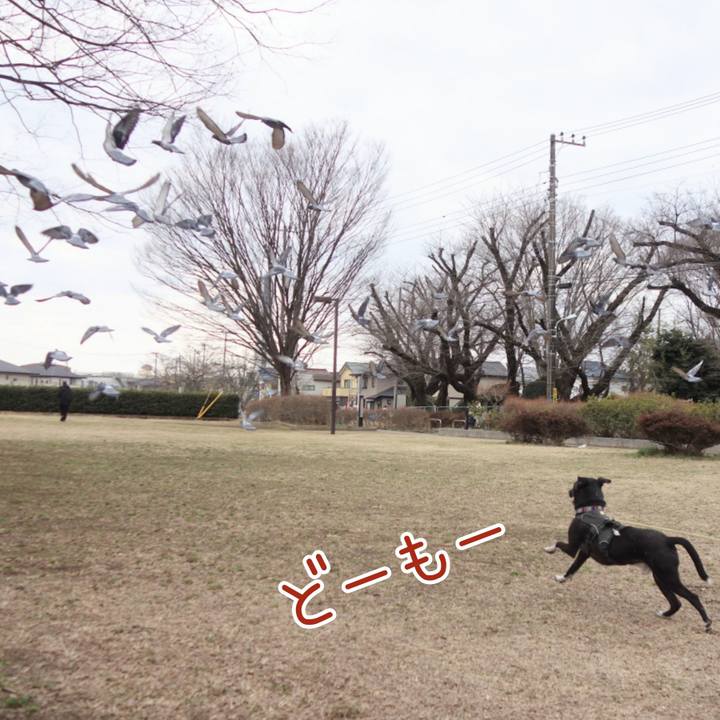 D3c4b22a 3a8b 48e1 8374 f92b05b05cc8 1646358082891