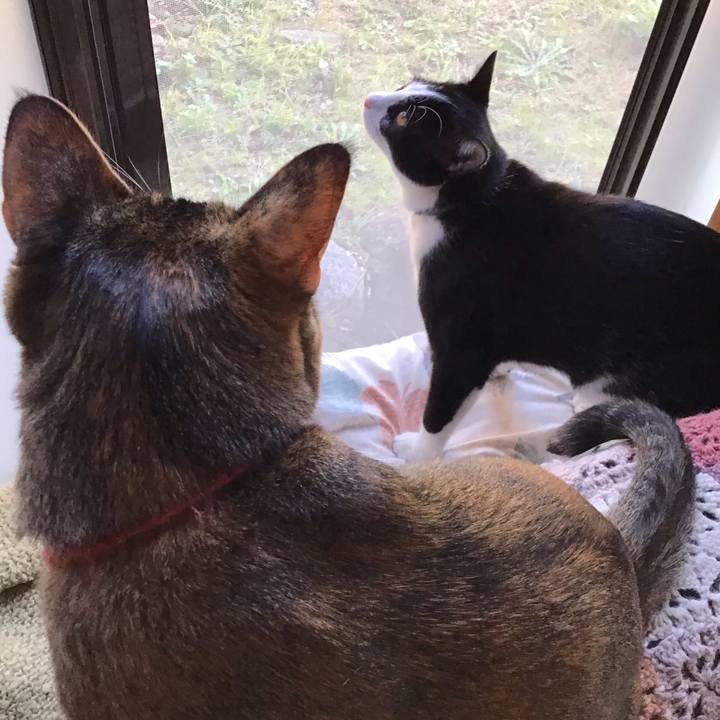 D3c4bf0b 8436 4663 9755 243c77fb93e5 1637381284163