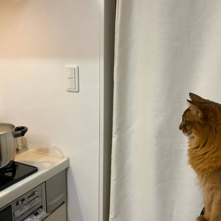 D3c4d47f 9842 49ed 9dd7 e45985543b05 1638784197917