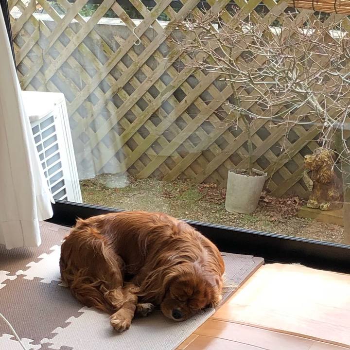 D3c4e94a 4a56 4c0c bdbe 0b95fa74b2d7 1613082238976