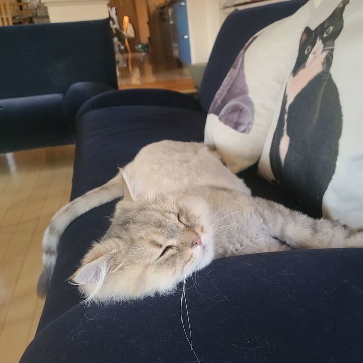 D3c50cfd d7fd 41cd 967f 6b307f14fb9f 1626425576014