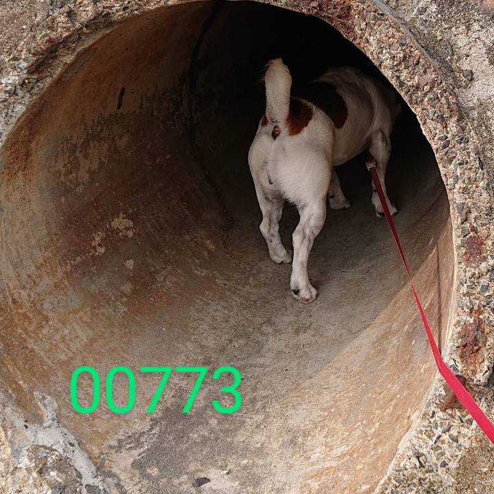 D3c52aca a10c 47ad acd8 894b2a1add35 1687510273431