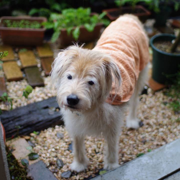 D3c52b27 4f74 4753 aaf4 97ec31c73cf3 1625194469193