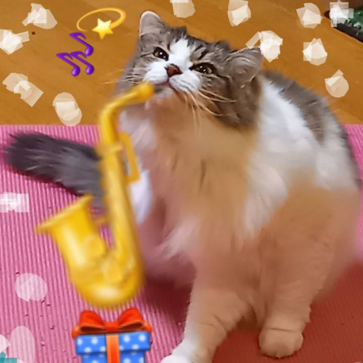 D3c53242 4967 4858 af88 ef20d20f48e5 1608767455980