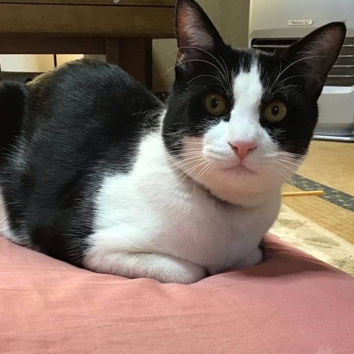 D3c549c2 33d6 4c29 a868 b0a923e2f74b 1644310005820