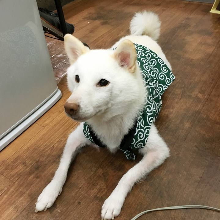 D3c55788 6249 40a5 a880 d0b344a06843 1735733617831