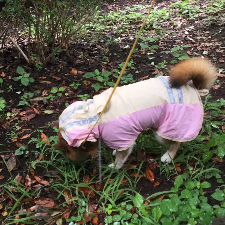 D3c55e9a e353 424b 8153 38e333507238 1625466535705