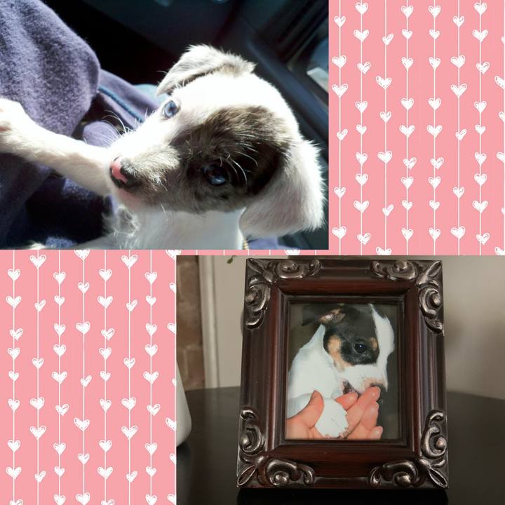 D3c5696a 32db 4cfd aa00 758566b00723 1619041424842