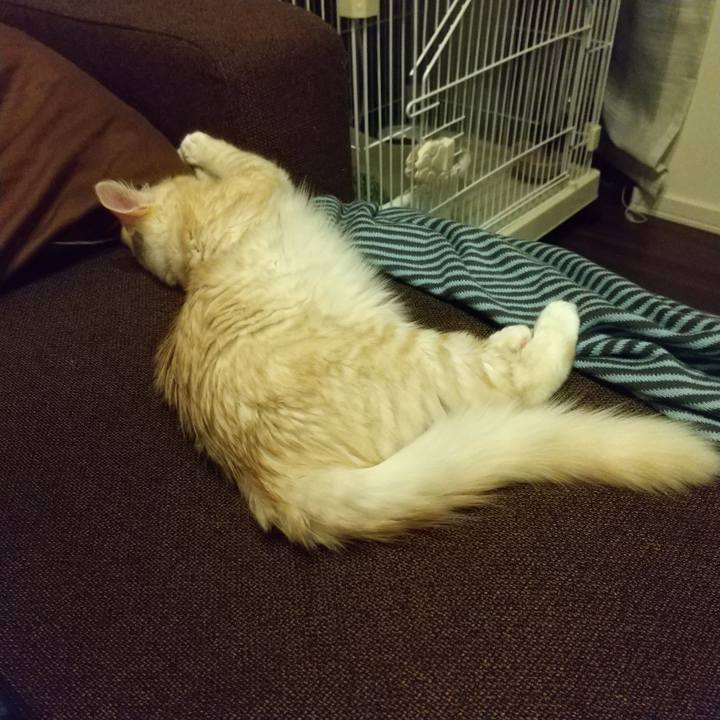 D3c579e3 3751 4ba8 a31c b494a70e6488 1608372118390