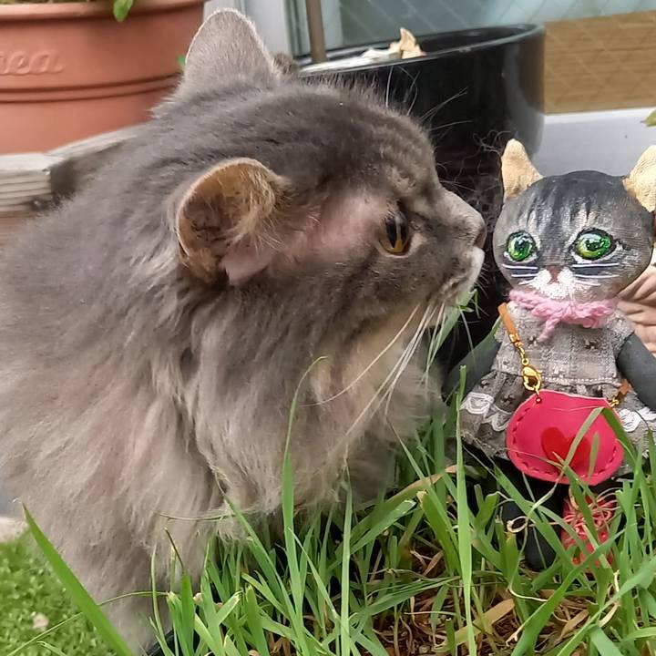 D3c5863f 6602 4525 9f78 d369d52a2ab3 1663460600865