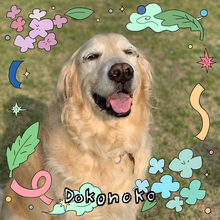 D3c5a16e 06fe 4879 a44c 107156d7172b 1717587341094