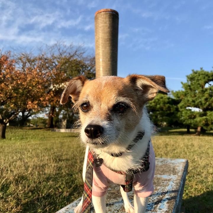 D3c5cbbf 5a1b 4157 83d4 addc72bb8fb5 1603958501524