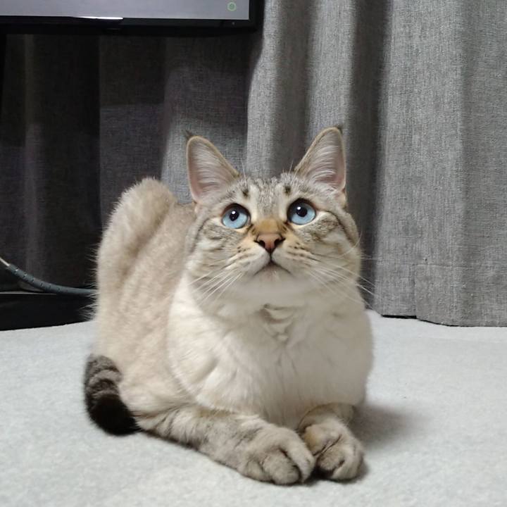 D3c5de40 76fc 4d7c 9692 90ecb18110d4 1650626386732