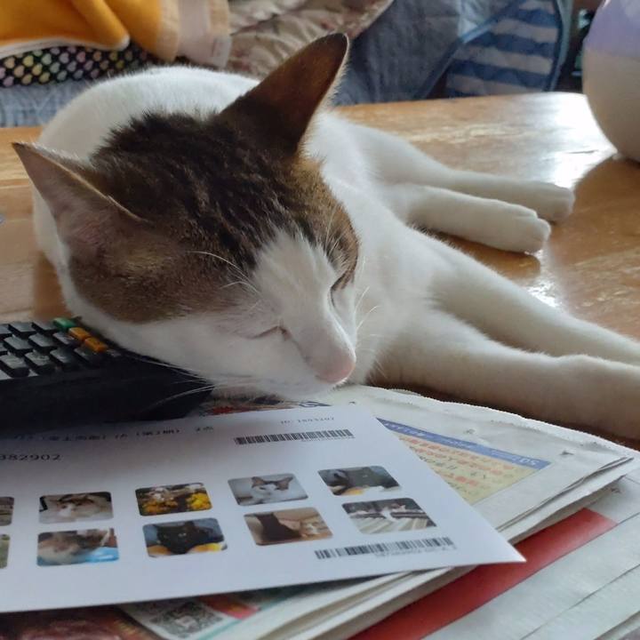 D3c60753 59d9 4902 bd71 b499129c9148 1672294648514