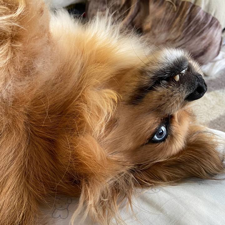 D3c61f3f ac6a 4222 89f9 a69e19ff5af2 1622496067393