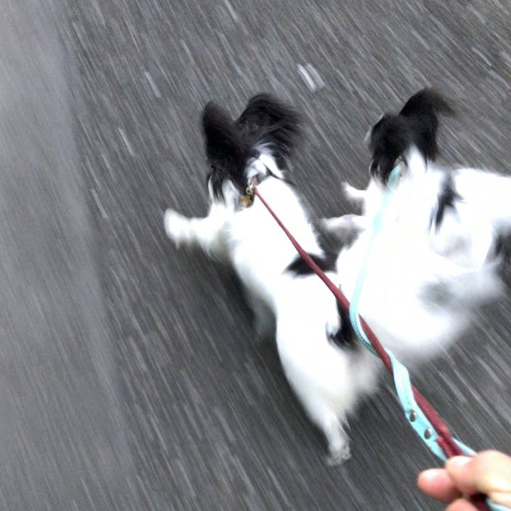 D3c6747c 4070 4894 afa3 177e307bc5e6 1540024178449