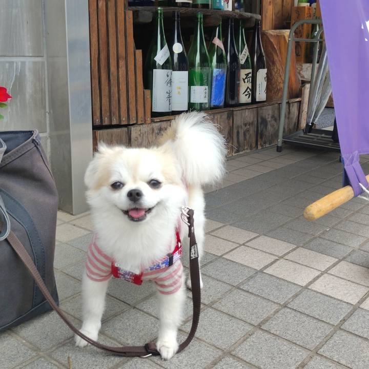 D3c68564 7c5c 41ca 898c 09b363968b9b 1758290363370