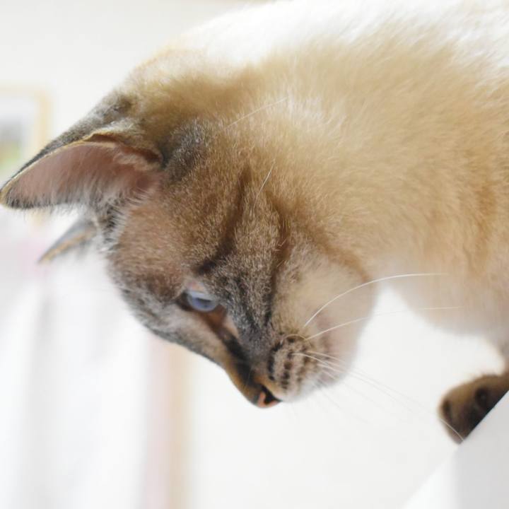 D3c6a1f2 9755 452f aaa0 98f9c0143af3 1532952183521