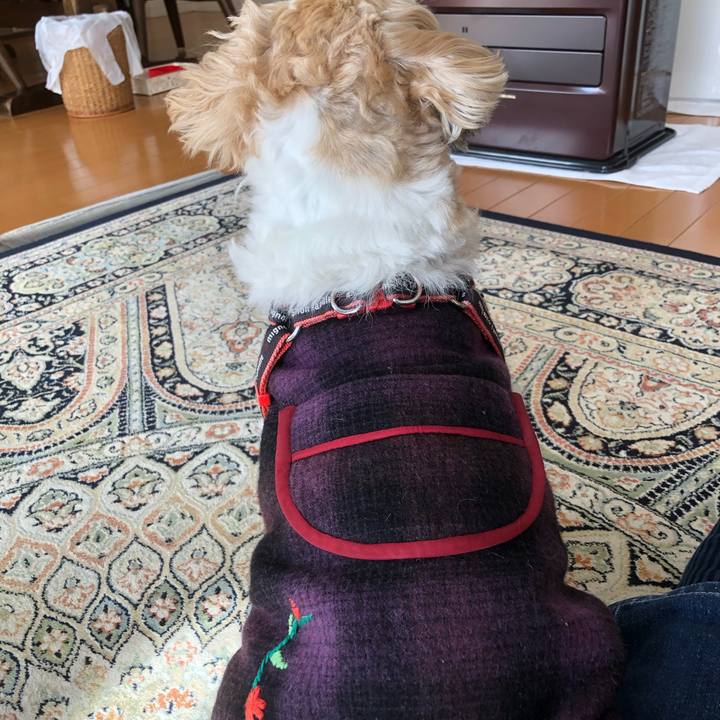 D3c6b30e 6730 45de 8758 d599600fc1d8 1612907741598