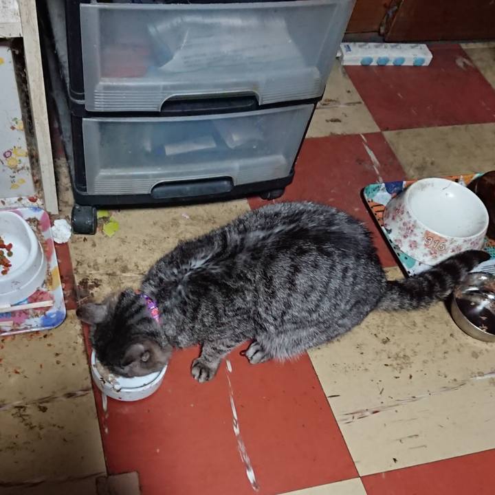 D3c6e070 06ee 40b5 a929 7d42d9b84ad7 1585338640767