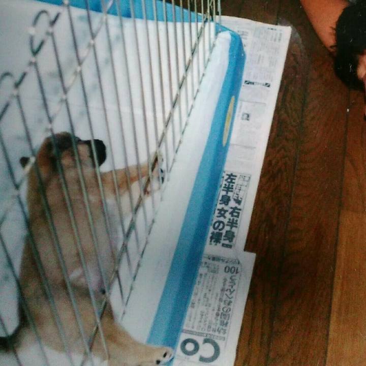 D3c70c69 9181 405a a756 cacf683e3bb3 1529579097569