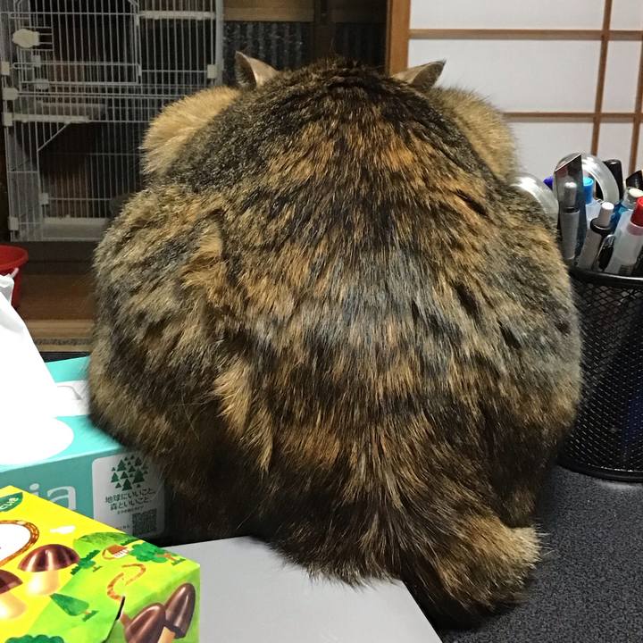 D3c70fa2 5122 4882 84fe d2847044e1a4 1712139114594