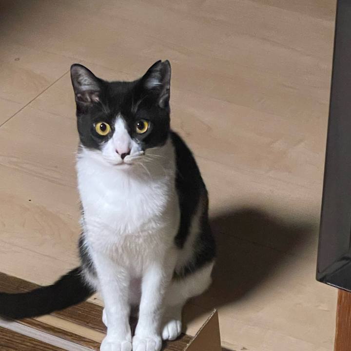 D3c72dc4 bff7 4324 b116 ff8fa75dc5bb 1683397691360