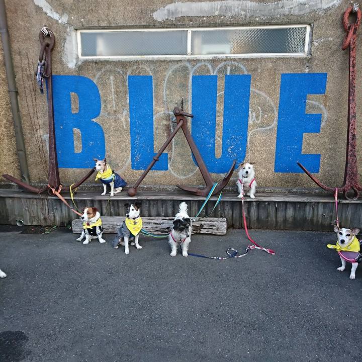 D3c77a11 0ce1 4253 92fd e034fc160010 1516592362525