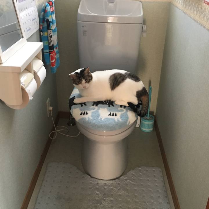 D3c78e1a 3e41 4ee4 9337 2827b24afd38 1526108626502