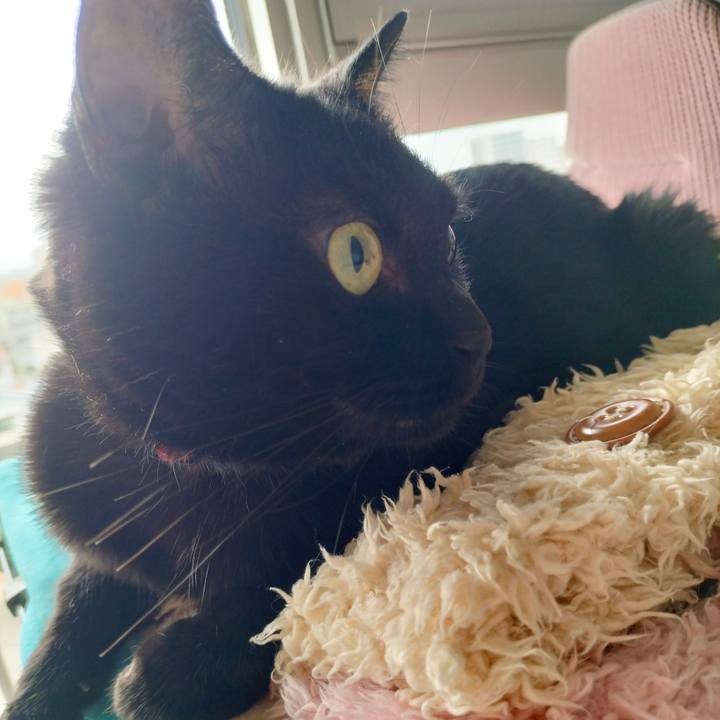 D3c7a3de d3b4 403a 8490 a38b530f92e4 1692227117512