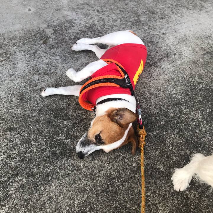 D3c7bb4c a108 4032 a59f b89820682df9 1538382838877