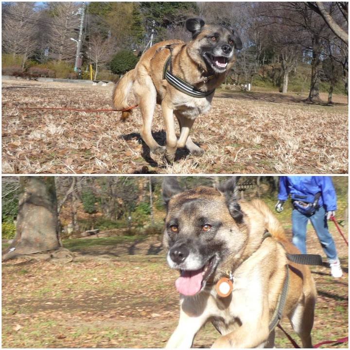 D3c854c7 5dc4 41f2 a189 2362ec0852ff 1577149150482